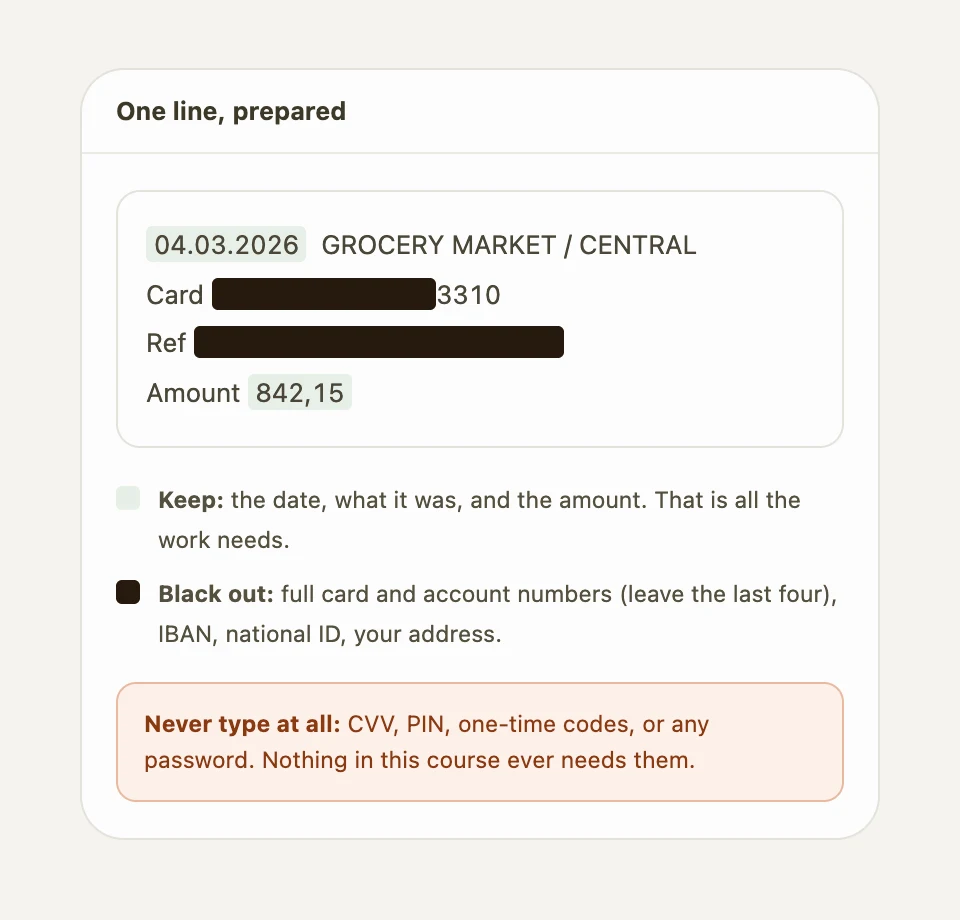 One statement line with the card number and IBAN blacked out and the date, description and amount left readable